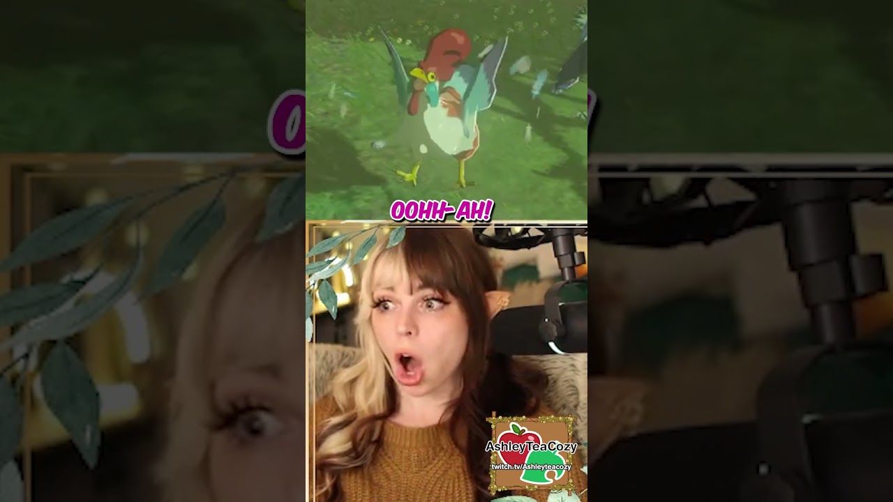 Spoiler: Yes #zelda #totk #tearsofthekingdom #clip #highlight #funny #chicken #streamer #stream