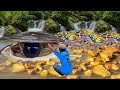 Nature's Surprise Package: Boy unlocks the secret of the giant's golden treasure, finds the pearl!