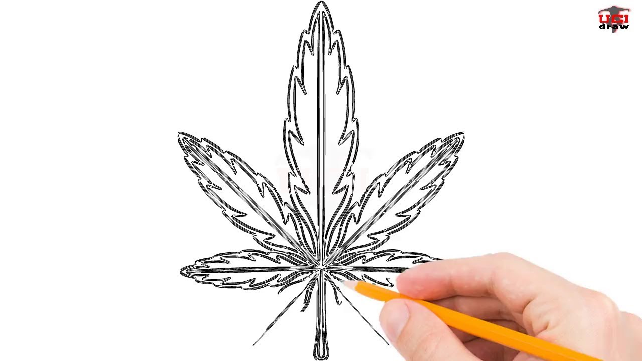 How To Draw A Weed Leaf Step By Step Easy For Beginners Kids Simple Leaves Drawing Tutorial Youtube