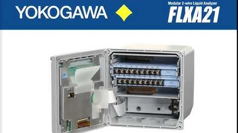 flxa21 Dual Channel analyzer