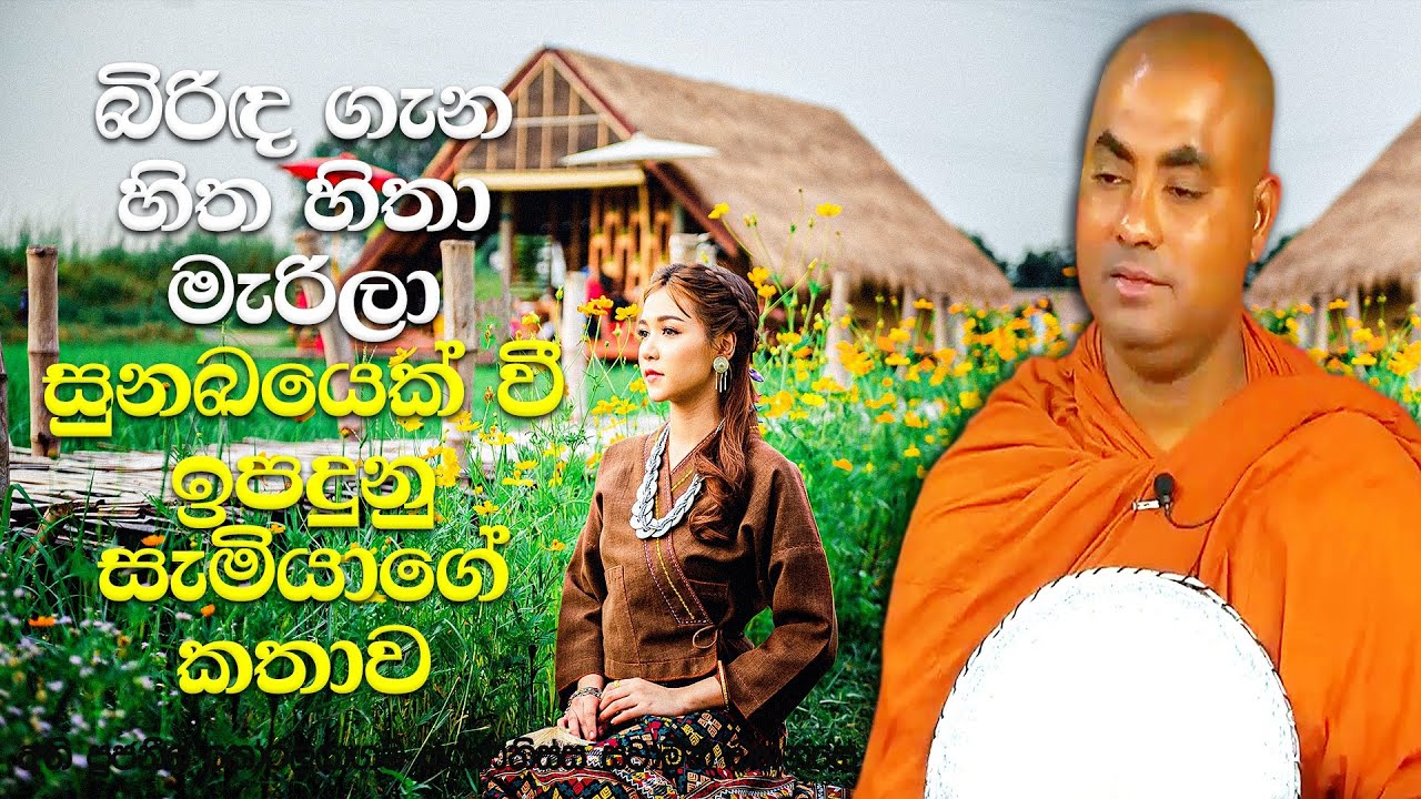 මිනිස්සු බලු වැද්දි කියා විහිළු කරපු නිසා ඇය මේ සුනඛයා ලිඳට දැම්මා | Koralayagama Saranathissa Thero