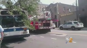 Tree Falls On MTA Bus In Queens