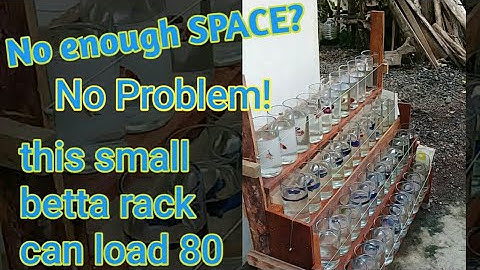 DIY- BETTA FISH rack