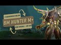 5 brackenhide hollow  hunter bm pov m dragonflight season 4 mythic plus