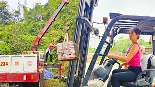 Transporting construction bricks with cranes and forklifts | Trần Diệu Linh  Daily Life