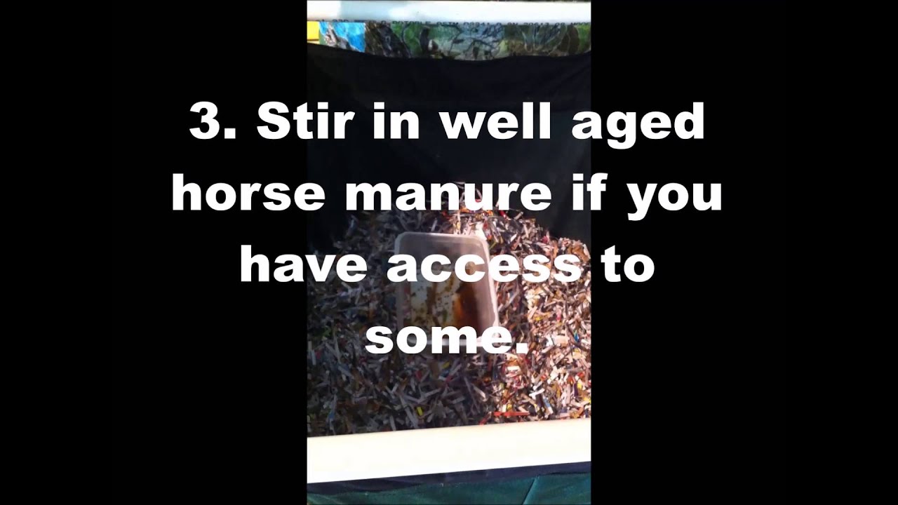 Fruit Flies in Worm Composting system...Now what? YouTube