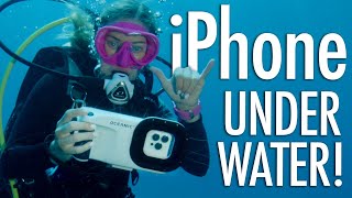 Waterproof Iphone Case New Oceanic Dive Housing Review
