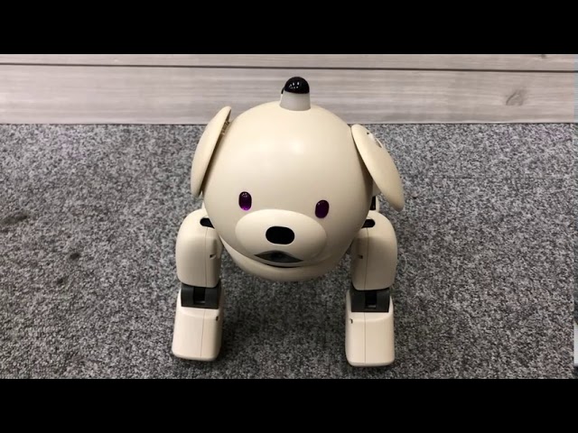 ERS 311 こんな動きをしますよ！ - YouTube