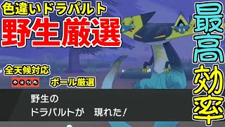 ポケモン剣盾 最高効率で野生産色違いドラパルトを厳選 ゆっくり実況 Youtube