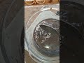 المشخص في البيطرة رسوب و فشل المحاولة الأولى لصنع و تحضير فوسفات اليوريا Urea phosphate للضأن mp3