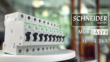 Easy9 - Cầu dao tự động MCB 1P 4.5kA - Schneider