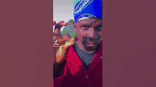 Mr Man - Fave ( Lifestyle Music Video ) Ema The Grate