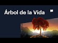 Árbol de la Vida