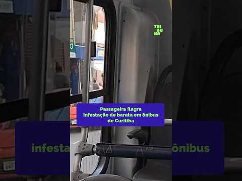 Passageira flagra infestação de baratas em ônibus de Curitiba #onibus #curitiba