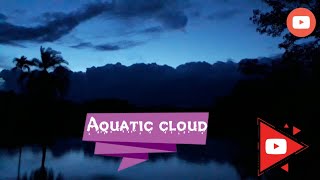Aquatic Cloud