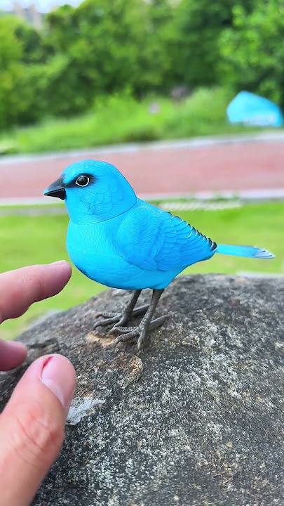 Blue Bird toy simulation electric singing bird can call and move#kibtoy #toy #cute #funnytoys