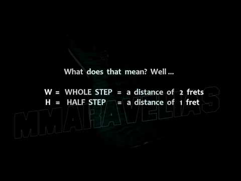 Understanding The Major