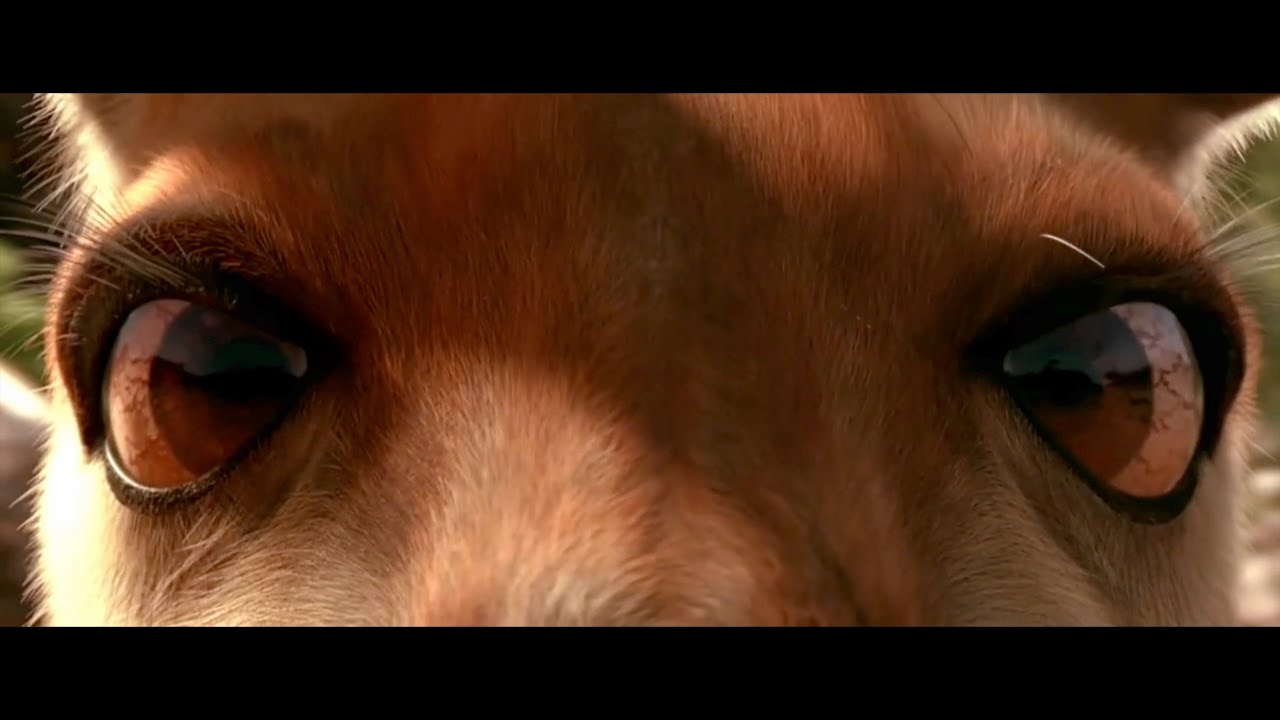 Kangaroo Jack Hot Candy (2003) YouTube