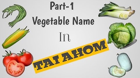 Learn Tai Ai || Aiton || Learn Name of the Vegetables Part-1.