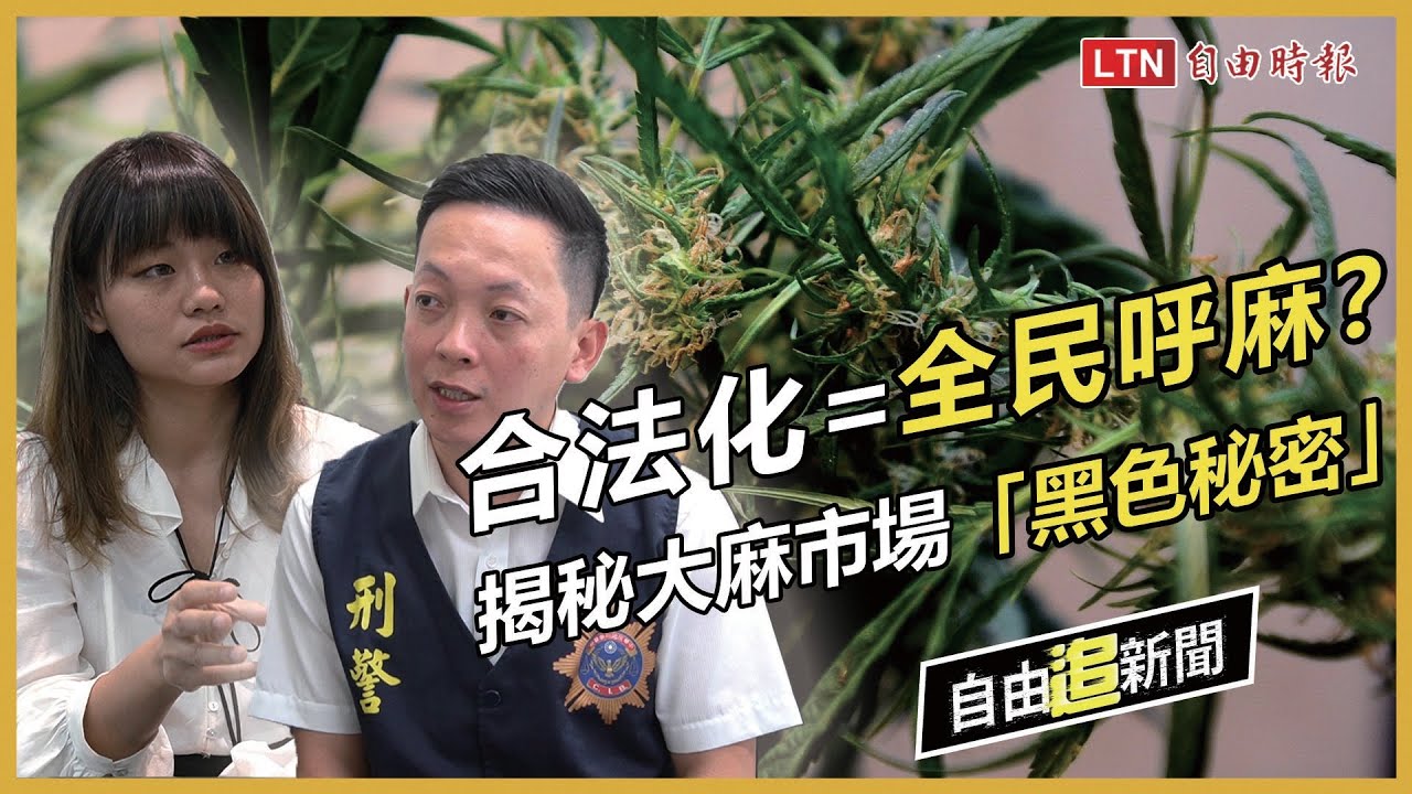 自由追新聞 大麻合法化全民嗨起來 台灣黑市交易內幕曝光 Youtube
