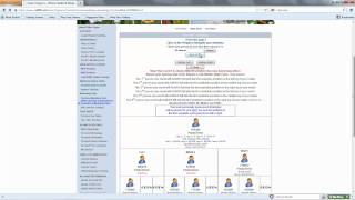 Matrix and Unilevel Genealogy Training