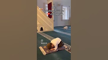 ماشاء الله #اكسبلور #قرآن_كريم #تلاوة_خاشعة #راحة_نفسية #قرآن