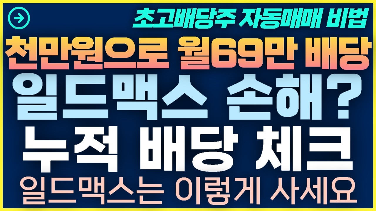 [1탄-045] 일드맥스는 이렇게 사야 합니다! 일드맥스 TSLY MSTY CONY NVDY 종목별 배당금 체크!