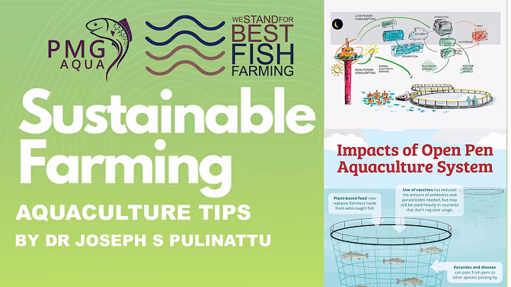 Environmentally Sustainable  - Tips in Aqua Culture Practice
