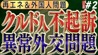 埼玉県川口市の市長・議会はクビか？ 殺人未遂犯罪者７名のクルド人が不起訴で市民が不安になっています。三枝（さえぐさ）が怒る！？クルド人問題の根は深い　No2◆文化人デジタル瓦版◆