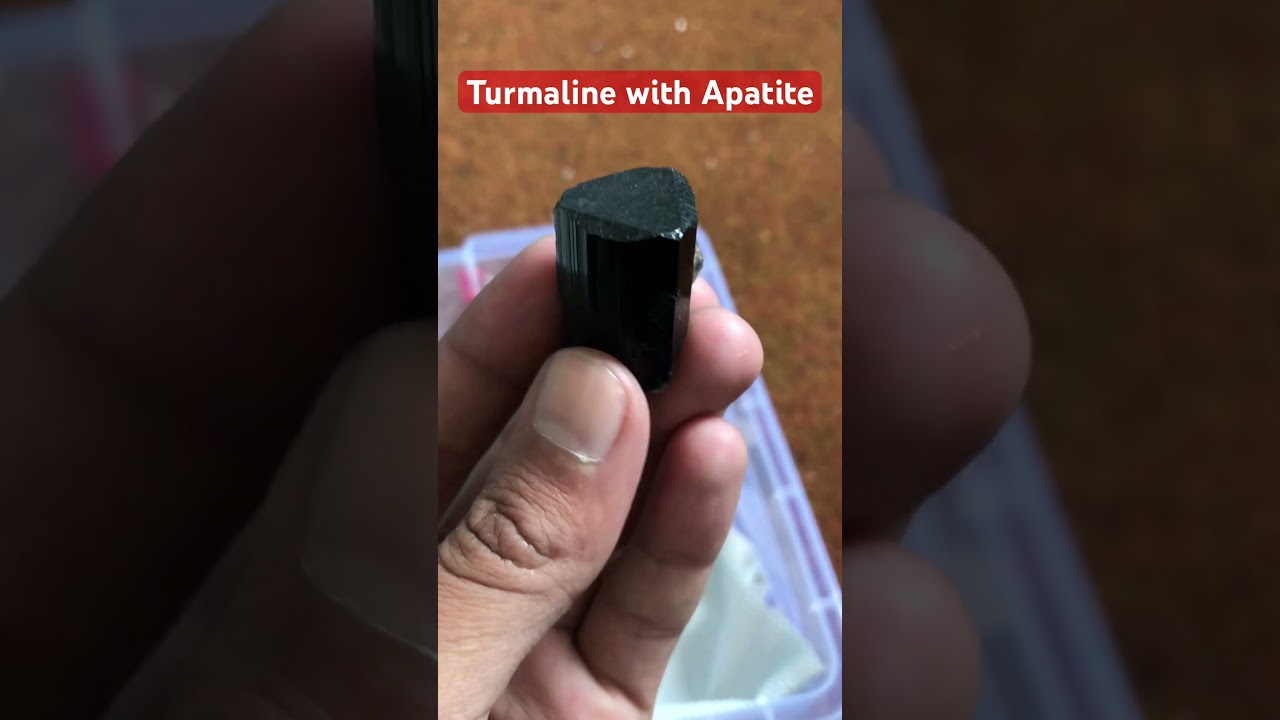 Turmaline with Apatite | Apatite   