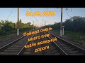 Поймал очень много пчëл возле железной дороги!!!! 26.06.2020.