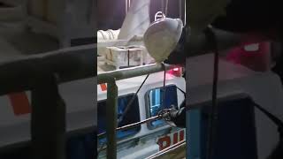 Pilot Off Time At Bosphorus Mv Turkan Saylan