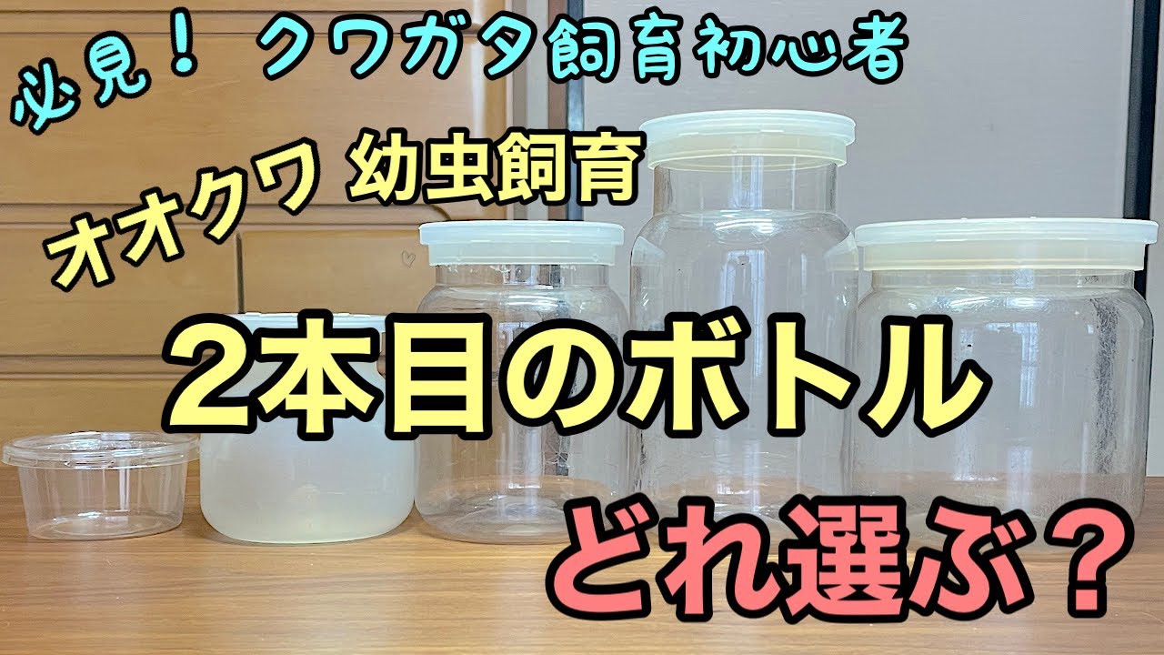 Japanese Giant Stag Beetle] How to Choose Larva Rearing Bottles