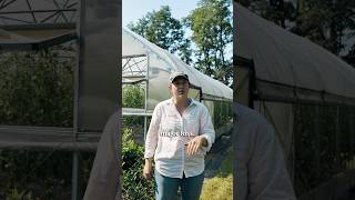 Overspray incident on organic farm. #overspray #organicfarming #farming