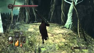 Dark Souls 2: Scholar of The First Sin - Lizard Staff Farming - PS4