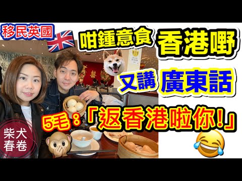 移民英國要乞食? ｜叫我返香港啦你！｜曼城飲茶傾吓計｜｜柴犬春卷移民英國曼城｜寵物移民｜Shiba Inu Manchester｜【廣東話 中文字幕】UK GB