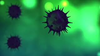 Understanding the Immune System and Understanding the T Cells of the Immune System