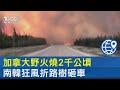 加拿大野火燒2千公頃 南韓狂風折路樹砸車｜TVBS新聞