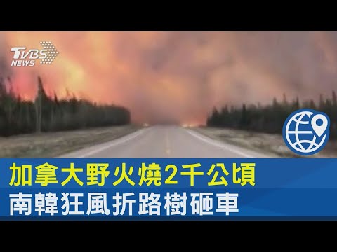 加拿大野火燒2千公頃 南韓狂風折路樹砸車｜TVBS新聞