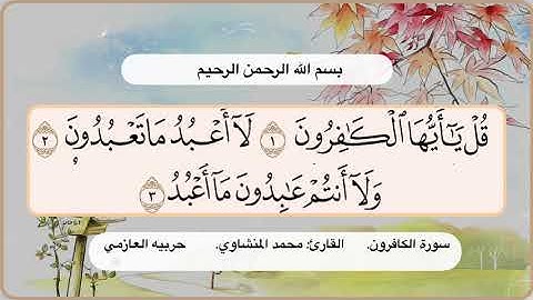 سورة الكافرون 1 -3