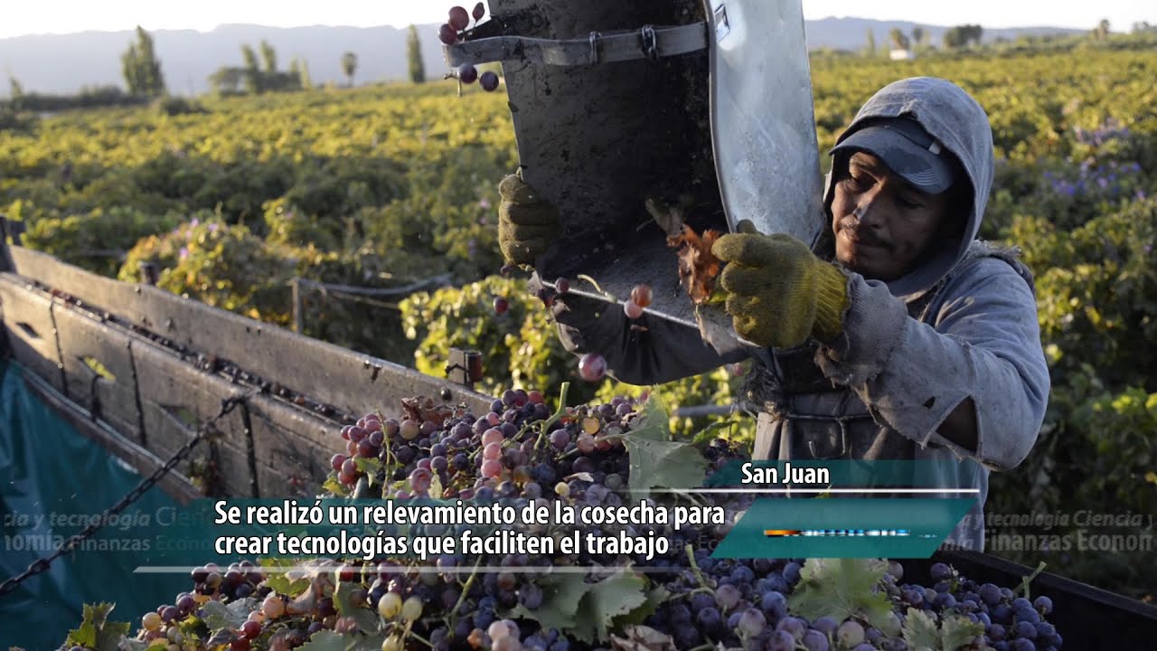 Buscan implementar la cosecha asistida intangible