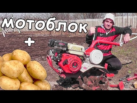 ПОСАДКА КАРТОФЕЛЯ под МОТОБЛОК на СВОЕМ УЧАСТКЕ / ПЕРЕДЕЛКА НАВЕСНОГО  и ПРОЦЕСС ПОСАДКИ