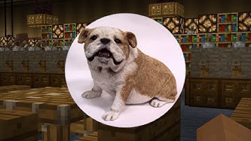 Olathe Public Library Summer Reading Program 2017