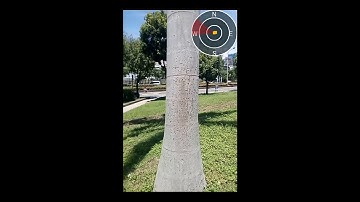 Augmented Reality in SuperSurv 10