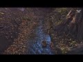 მდინარე წავკისისწყალი | Dji mini 2 drone video
