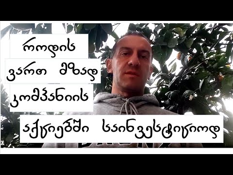 როდის ვართ მზად კომპანიების აქციებში საინვესტიციოდ და როდის ვიღებთ შედეგს  #საინვესტიციოკაპიტალი