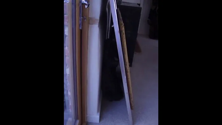 Video 11329021: maine coon, play fighting