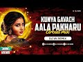 Kunya gavach aala pakharu circuit mix  dj vk remix  marathi lavni     