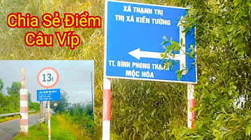 CÂU CÁ RÔ ĐỒNG - CHIA SẺ CHI TIẾT ĐIỂM CÂU TỪ BÌNH THÀNH TRÀ CÚ. ĐẾN KIẾN TƯỜNG MỘC HÓA ‐ LONG AN
