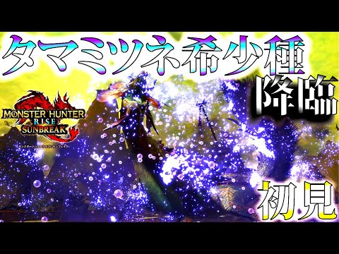 【サンブレイク】初見タマミツネ希少種。魔改造タマミツネ強いｗ【モンハンライズ】